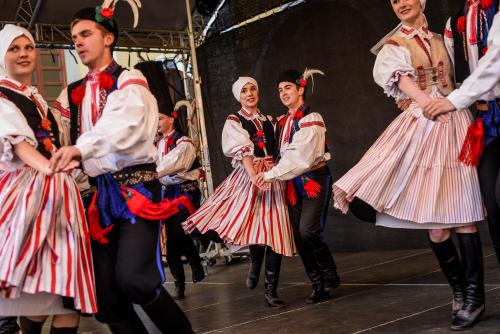 Soubory z&nbsp;Lidového roku 2021