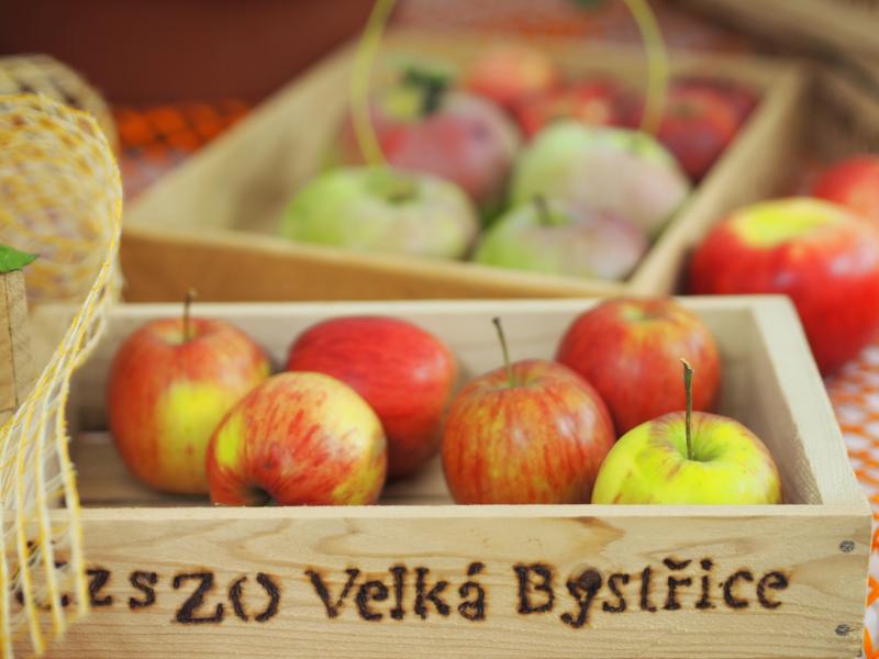 Podzimní jablka